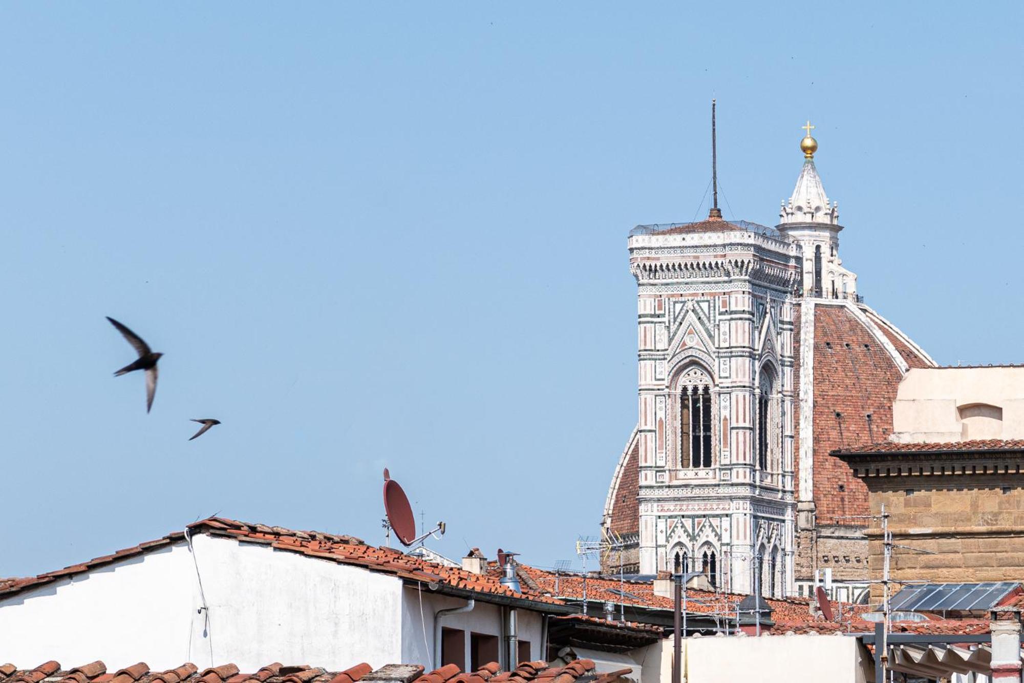 Appartamento Parione Loft In Town Center Firenze Esterno foto